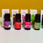 Pure Essential Oil For Humidifier Fragrance Aroma Diffuser (6pcs Package) by Pure - Gadgetntech Bangladesh