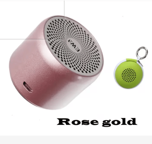 Ewa A106 Pro Mini - Rose Gold Bluetooth Speaker by Ewa - Gadgetntech Bangladesh